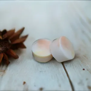 Apple Cider and Cinnamon in Oatmeal Soap Disks