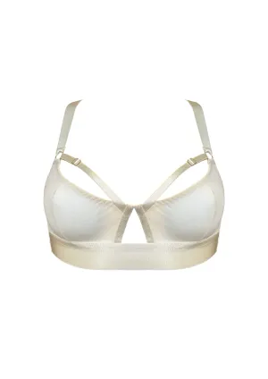 Signature Soft Cup Bra